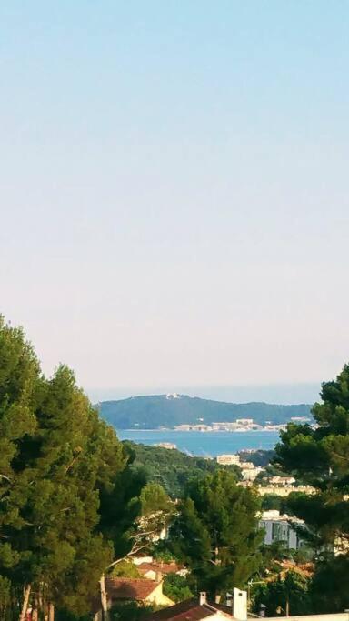 Villa Contemporaine F5 Cote Azur Ollioules Calme Экстерьер фото