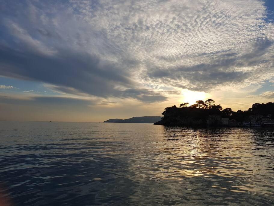 Villa Contemporaine F5 Cote Azur Ollioules Calme Экстерьер фото